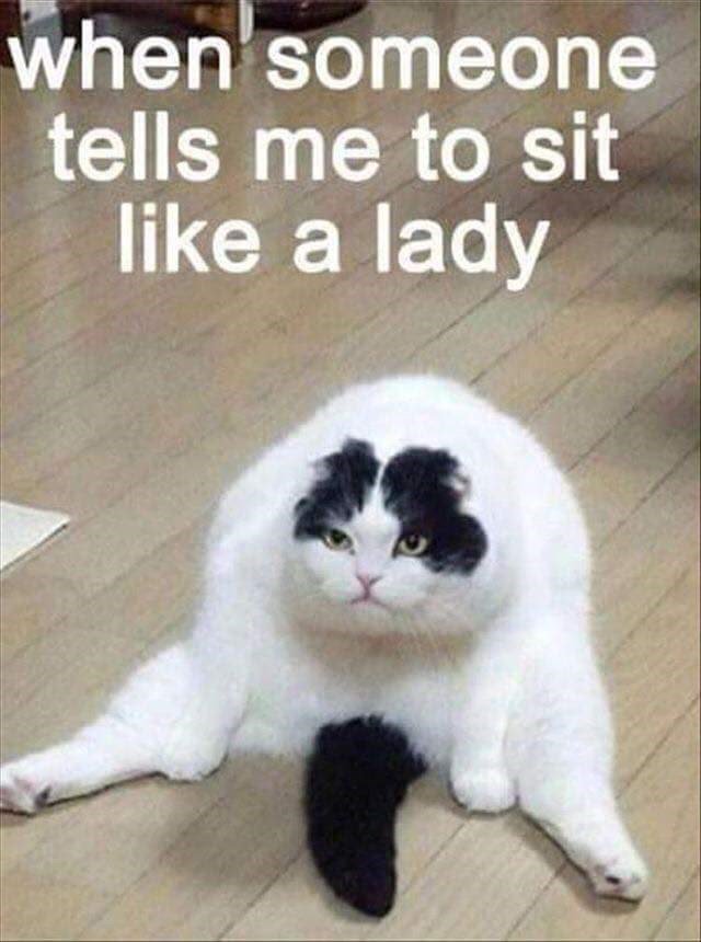 hotep24's tweet photo. sit like a lady https://t.co/Bl6caX1eEN