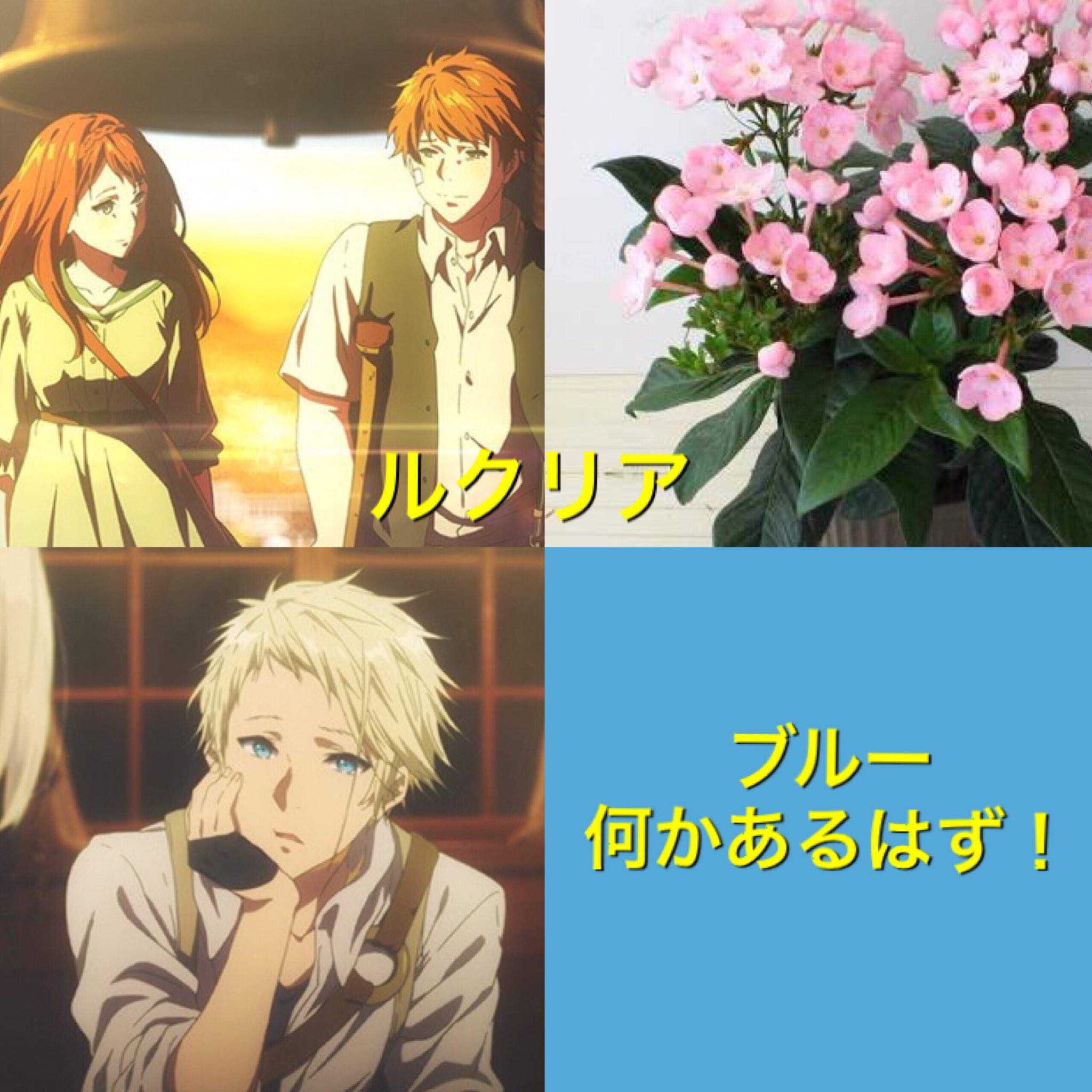 March No Twitter ヴァイオレットエヴァーガーデンみんな花の名前何だって今更気づいた 花言葉もピッタリ ベネディクトブルーは何の花なんでしょうか Violetevergarden March No Twitter ヴァイオレットエヴァーガーデンみんな花の名前何だって今更気づいた 花言葉もピッタリ ベネディクトブルーは何の花なんでしょうか Violetevergarden