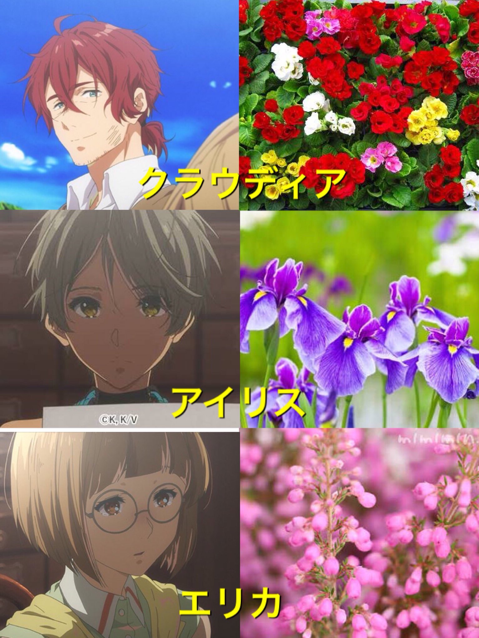 March ヴァイオレットエヴァーガーデンみんな花の名前何だって今更気づいた 花言葉もピッタリ ベネディクトブルーは何の花なんでしょうか Violetevergarden T Co Iutwllkphj Twitter