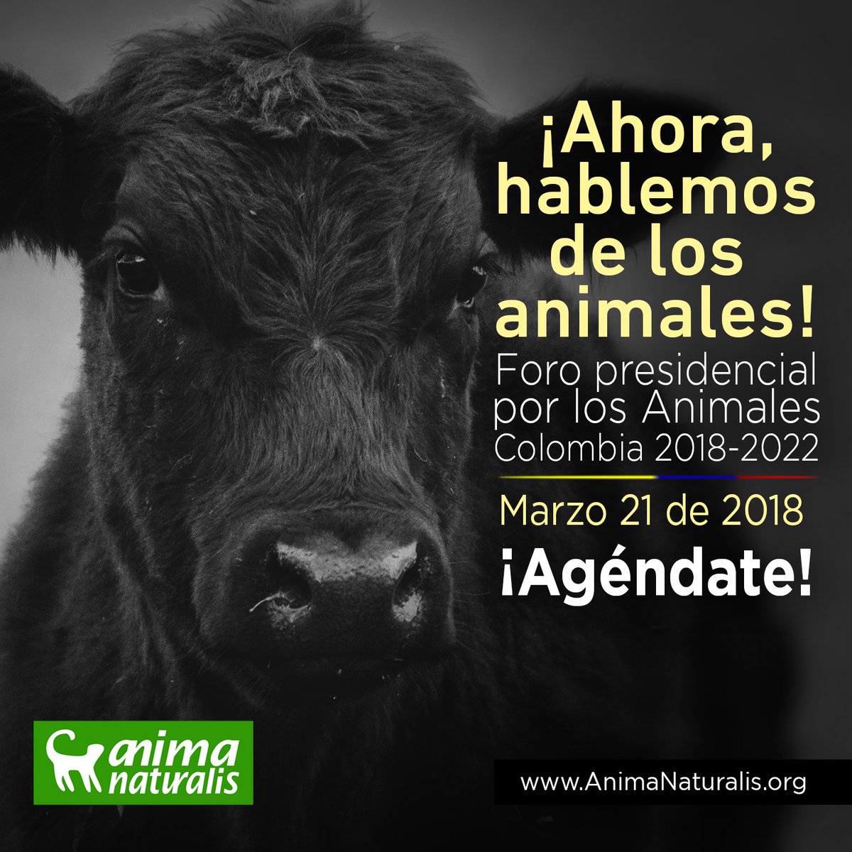 andreanimalidad's tweet photo. ¡Ahora, hablemos de los animales! Agéndate para el "Foro Presidencial por los Animales" con candidatos a la Presidencia de Colombia 2018. Bogotá, 21 de Marzo. La protección a los animales ya está en el radar de los Colombianos #Elecciones2018 #VotoAnimalista #ForoAnimal https://t.co/Q6fnHDB8hw