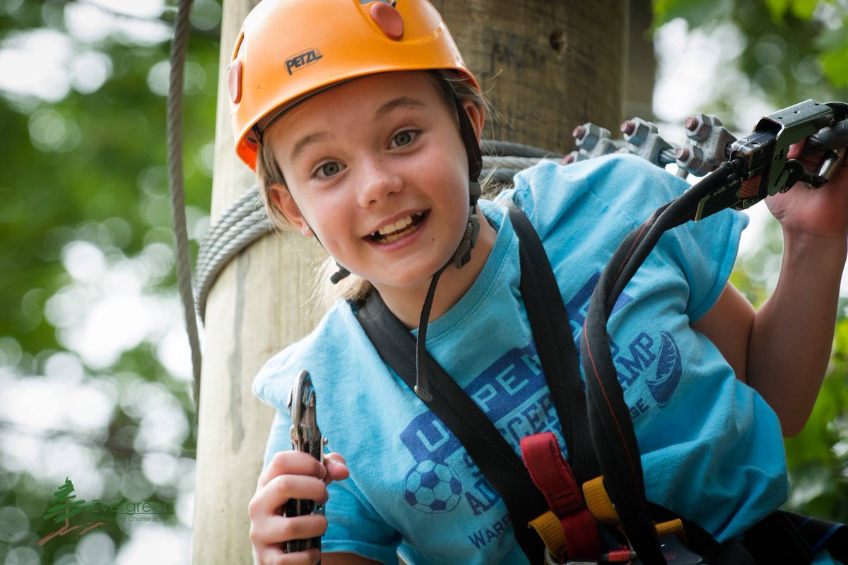 Asheville Treetops tweet media