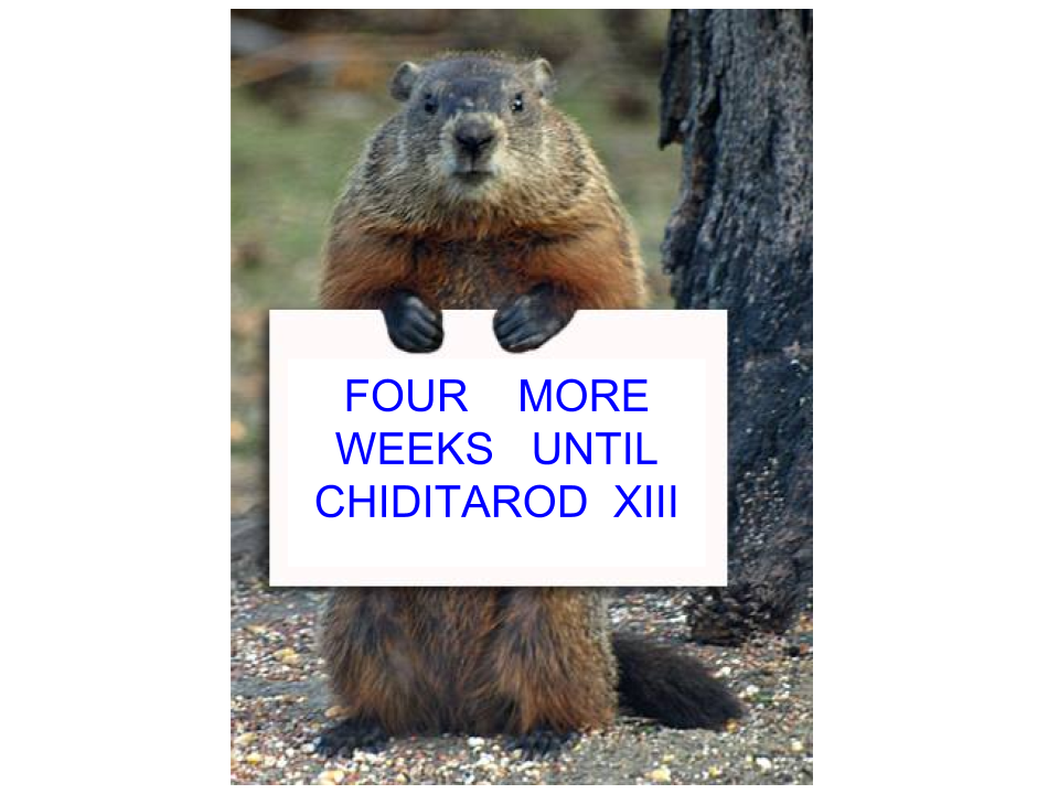 chiditarod's tweet photo. Puxatony Phil says RodXIII is just around the corner. #groundhogday #puxatony #chiditarod #rodxiii #charityrace #funrun #chicago #winter https://t.co/70P0qpA7RP