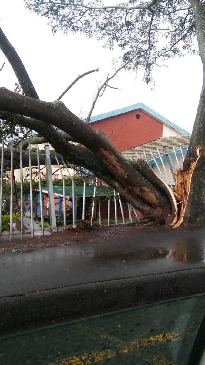 ReenvalSA's tweet photo. Just had a #hugestorm in Pinetown Durban #hail Photo Monica Brown @SAWeatherServic @eNCAWeather @JoelGuy_ @venter_annette @debeer_anika @WitnessKZN @TheMercurySA @TheCitizen_News @maroelamedia @TrafficSA @Letabaherald @AfricaWeather_ @YouMagazine @Die_NANB @SABCNewsOnline https://t.co/UeZCIb9oZx