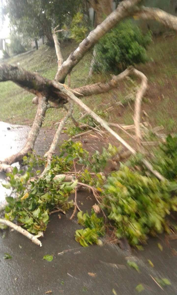 ReenvalSA's tweet photo. Just had a #hugestorm in Pinetown Durban #hail Photo Monica Brown @SAWeatherServic @eNCAWeather @JoelGuy_ @venter_annette @debeer_anika @WitnessKZN @TheMercurySA @TheCitizen_News @maroelamedia @TrafficSA @Letabaherald @AfricaWeather_ @YouMagazine @Die_NANB @SABCNewsOnline https://t.co/UeZCIb9oZx