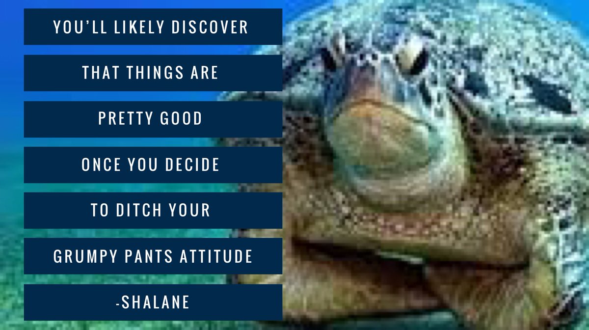 OrangeMelody343's tweet photo. #PrettyGood #Change #Attitude #GrumpyNoMore https://t.co/OpKpBP2SKH