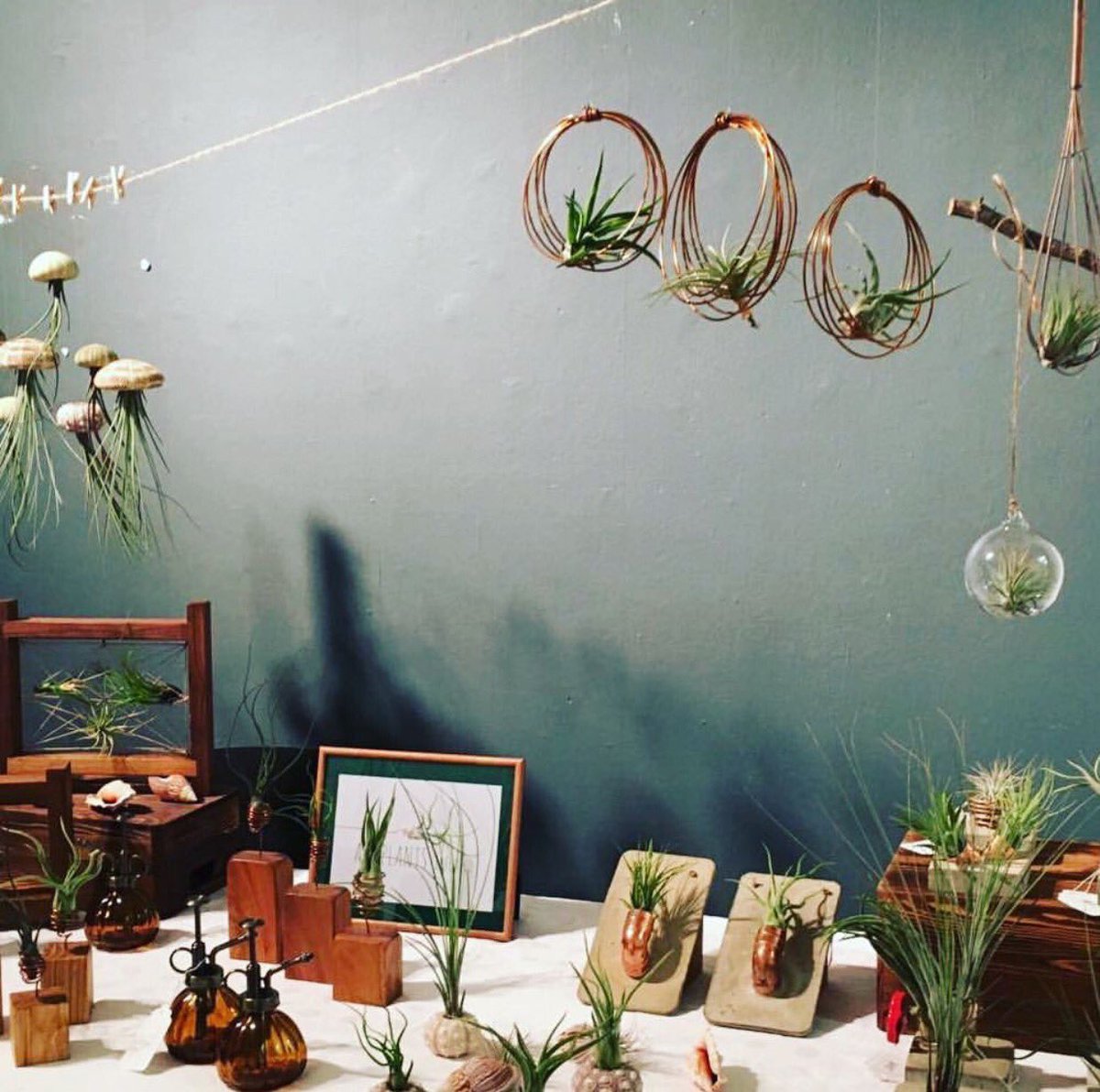 Flea Style tweet media