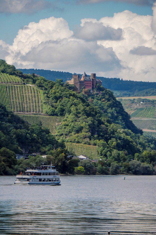 carrots_tigers's tweet image. Did you know that the Middle  Rhine region has one of the highest densities of castles across Europe?  Many of them have been turned into luxury Hotels. Have you stayed? #Germany #rhinevalley #castlehotels #castleschönburg