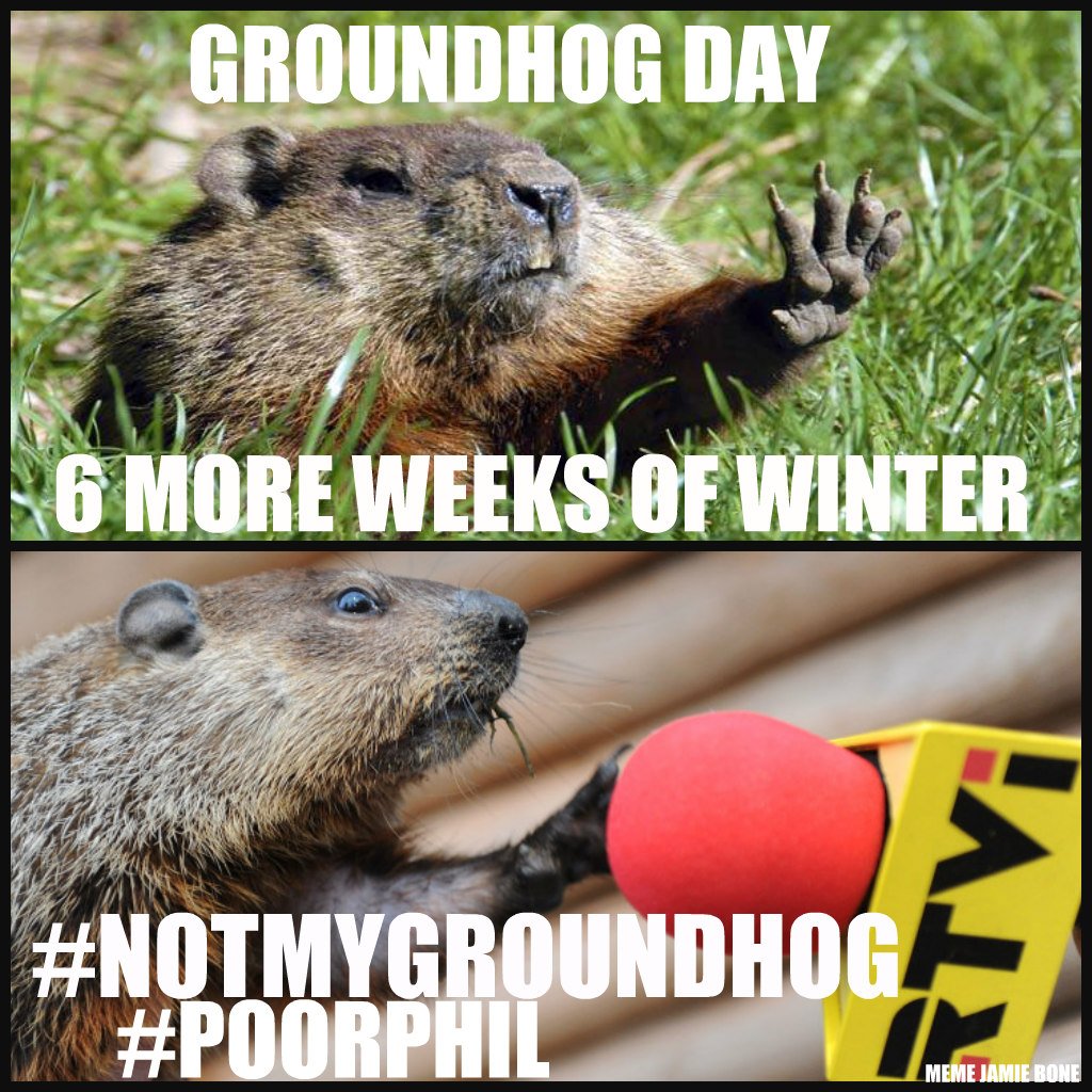 stlpeeps's tweet photo. #NotMyGroundhog https://t.co/VuM4iV5coP
