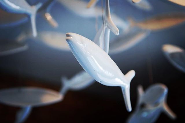 OctoCog's tweet photo. A school of ceramic fish... found swimming and suspended from the ceiling at @sealevel_nbpt 🐟 🐠 🐟 https://t.co/EUGqxxAE0N https://t.co/1PALwHuMIs