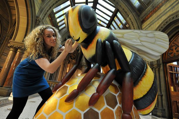 designmcr's tweet photo. Plans for the weekend? How about designing a GIANT BEE! I real one-off opportunity to be commissioned and see your work all over the city this Summer 
@BeeInTheCityMCR 
https://t.co/f8wCTVWyB1 https://t.co/sq9gwrY1n4