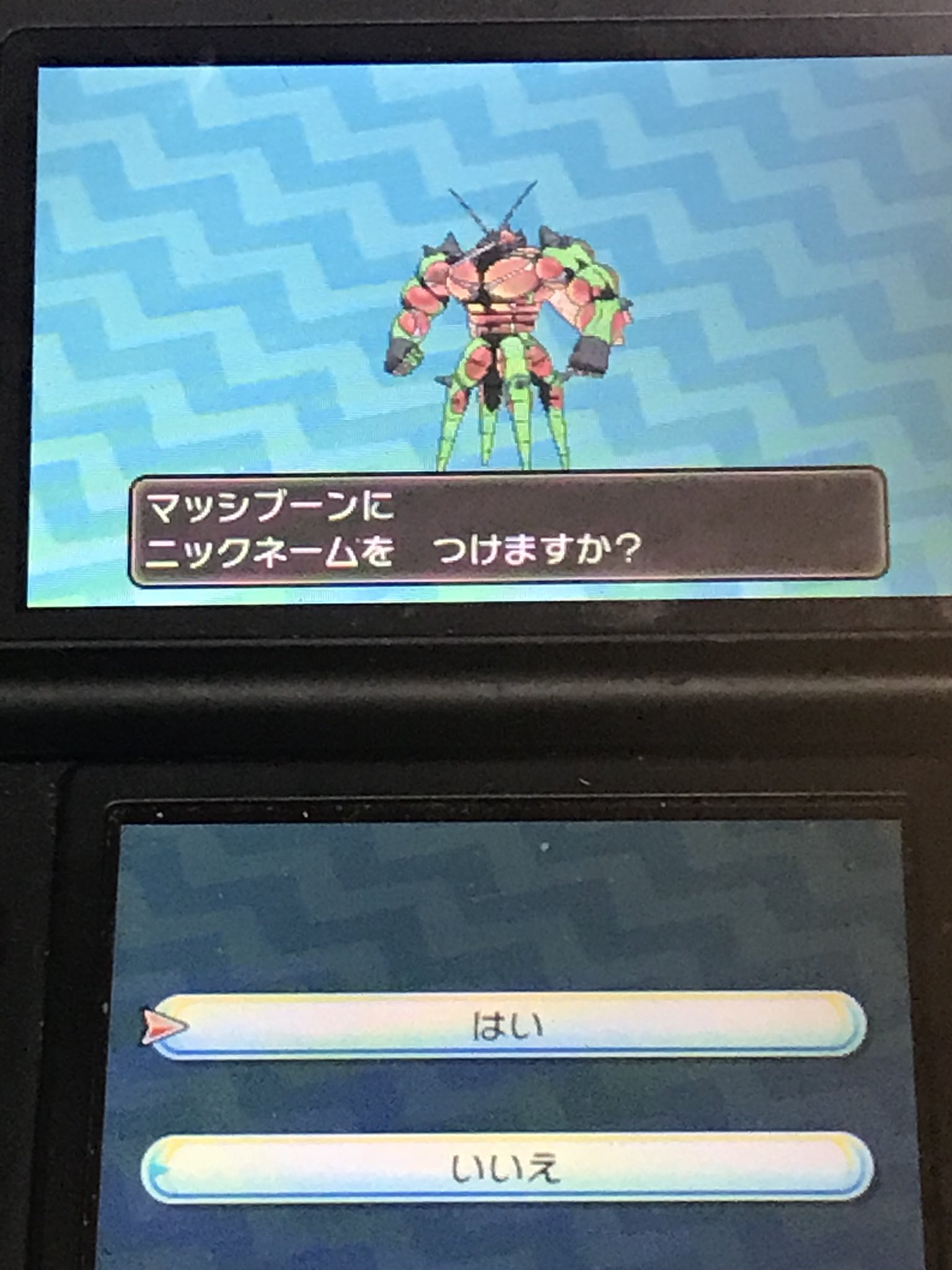 ちくわん Twitterren 筋肉虫 ポケモン ウルトラサンムーン ポケモン好きさんと繋がりたい マッシブーン 色違い T Co Qf3cggufa5 Twitter