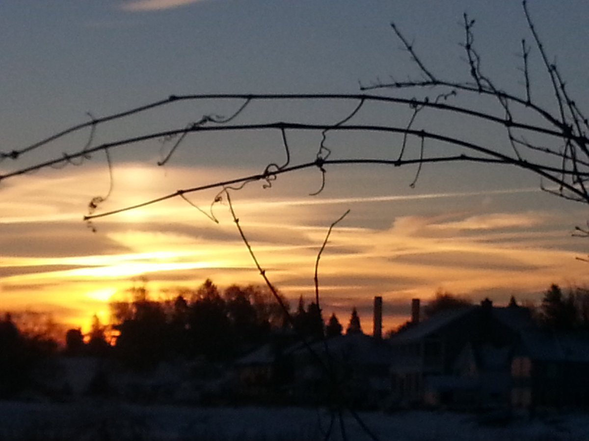 RareCat's tweet photo. #FF #PeepsOfGr8Cool @The1LCheatwood @whec_rcaniglia @agelessadonis @bradcooney1 @jimrome @wisperstar @ramartino @tpmedia @soulsistacaro @jold001_ @CynthiaBenjamn @garlingscott1 @JeremyKappell @SenatorRobach @MamboDave @CountyChairman @whec_SLaRocca @ElectFMartin @zburatorul #HABD https://t.co/e6kJRzu3Yk