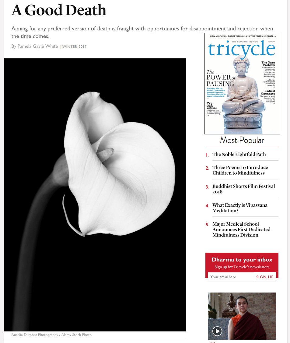 aureliadumont's tweet photo. When you find out your photo got published in an article about... Death! 😅 #happyfriday #publication #photography #alcatrazflower #fineartphotography #lilyflower #CallaLily #grateful #TricycleMagazine #TricycleMag #blackandwhitephotography #meaning #symbolism @tricyclemag https://t.co/7frrkLhtau