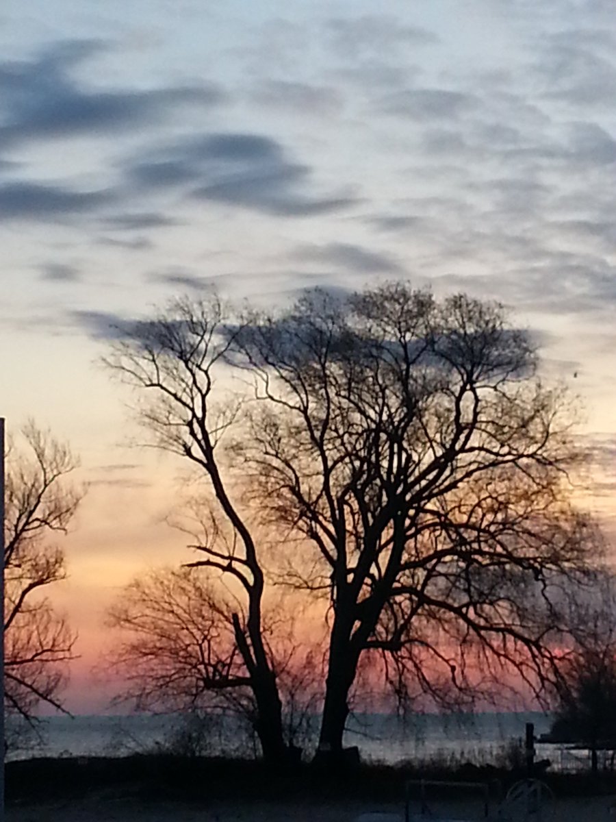 RareCat's tweet photo. #FF #PeepsOfGr8Cool @The1LCheatwood @whec_rcaniglia @agelessadonis @bradcooney1 @jimrome @wisperstar @ramartino @tpmedia @soulsistacaro @jold001_ @CynthiaBenjamn @garlingscott1 @JeremyKappell @SenatorRobach @MamboDave @CountyChairman @whec_SLaRocca @ElectFMartin @zburatorul #HABD https://t.co/e6kJRzu3Yk