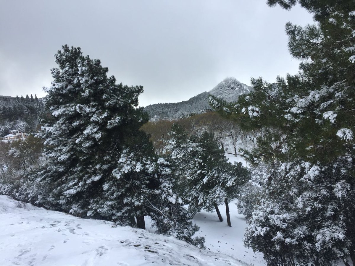 sanae2m1's tweet photo. مدينة تازة احتلت المركز الاول فالمغرب من ناحية تساقط الثلوج ومن بعدها افران 😍😍 مرحبا بيكم للتزلج ⛄⛄ https://t.co/Wgl0QUKr3r