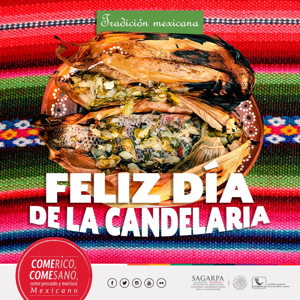 Conapesca's tweet photo. El arte culinario se manifiesta este #DíaDeLaCandelaria con ricos tamales de pescado #FelizViernes #ConsumePescado https://t.co/dmT9xWDk33