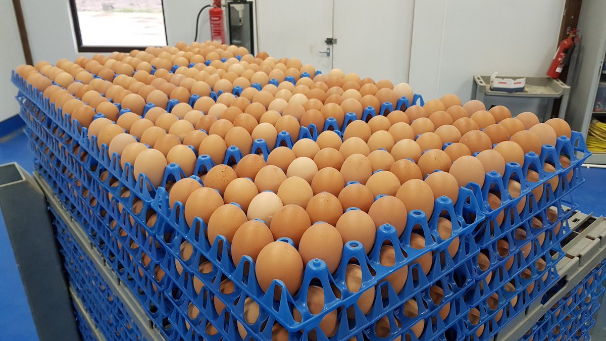 DanPBrown's tweet photo. Bit unfair that #Febudairy is getting all the attention, can we get #Egguary trending?! Stock up now for pancake day! 🥞🥞 https://t.co/e21qJkUZ7D