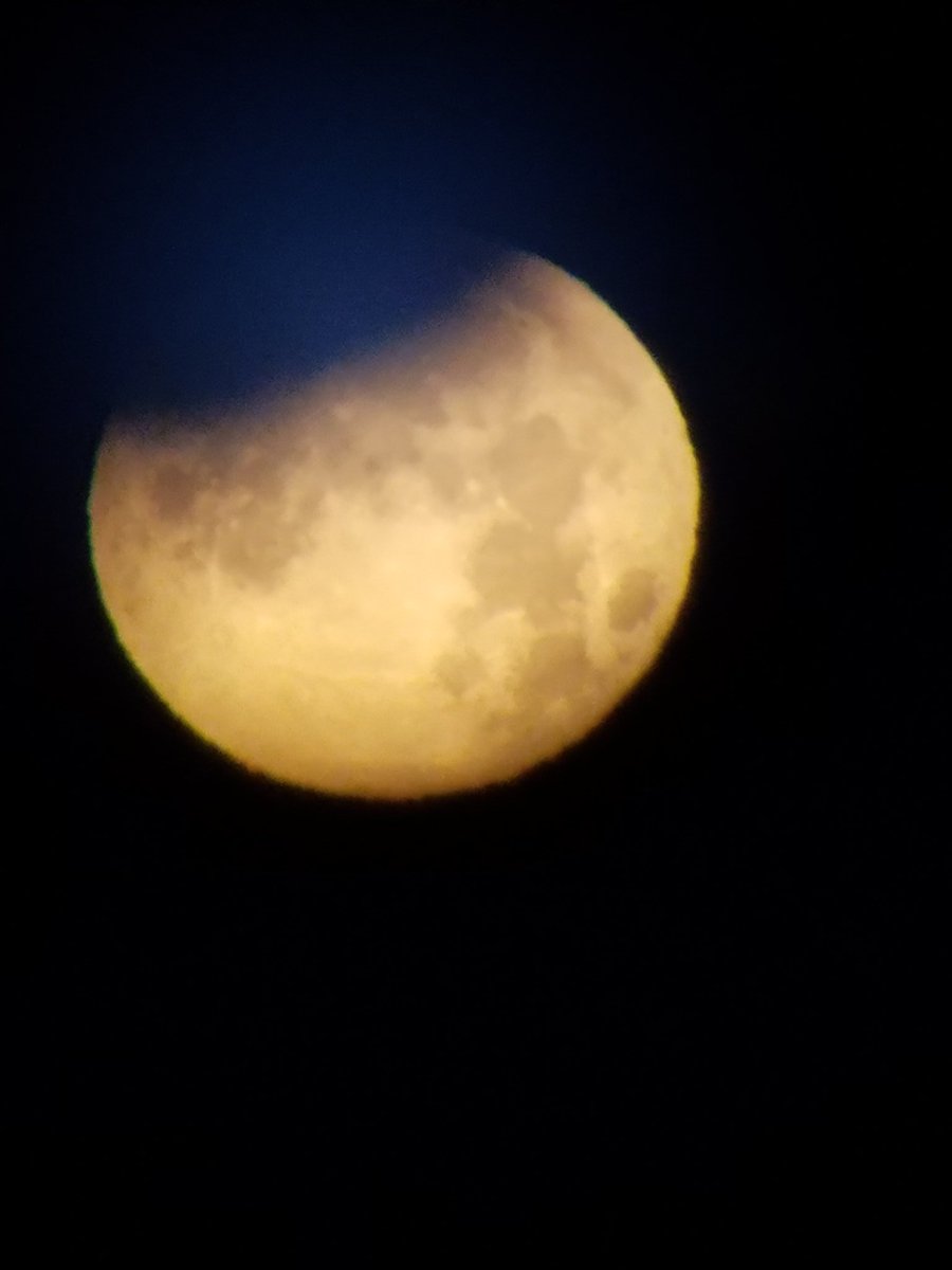 jaxpopscope's tweet photo. Shout out to UNF students for freezing in order to get these cool pics! #BlueMoon #BloodMoon #LunarEclipse #SuperBlueBloodMoon @cygnus_831 @The_Tall_Hobbit @SmashtonKutcher https://t.co/JRXaKtUimg
