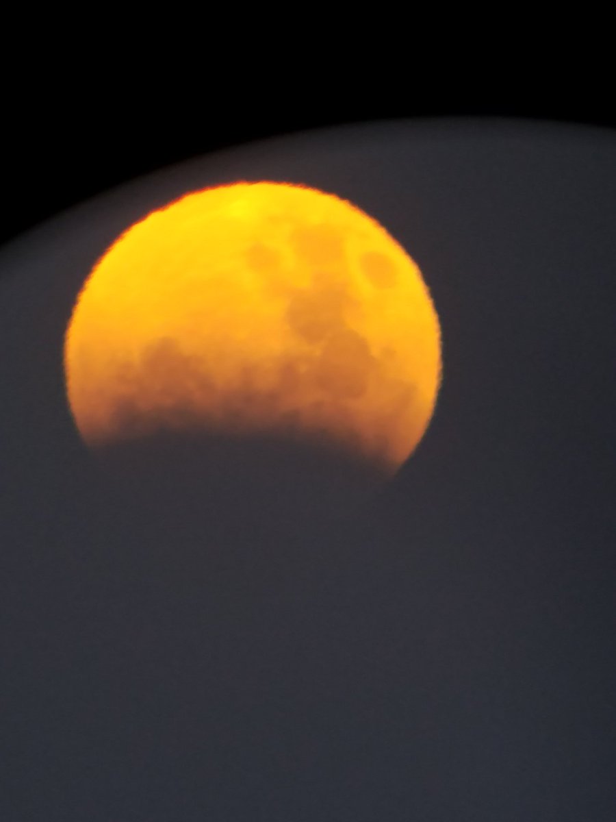 jaxpopscope's tweet photo. Shout out to UNF students for freezing in order to get these cool pics! #BlueMoon #BloodMoon #LunarEclipse #SuperBlueBloodMoon @cygnus_831 @The_Tall_Hobbit @SmashtonKutcher https://t.co/JRXaKtUimg