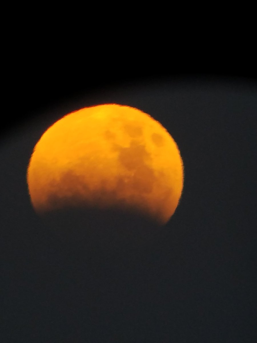 jaxpopscope's tweet photo. Shout out to UNF students for freezing in order to get these cool pics! #BlueMoon #BloodMoon #LunarEclipse #SuperBlueBloodMoon @cygnus_831 @The_Tall_Hobbit @SmashtonKutcher https://t.co/JRXaKtUimg