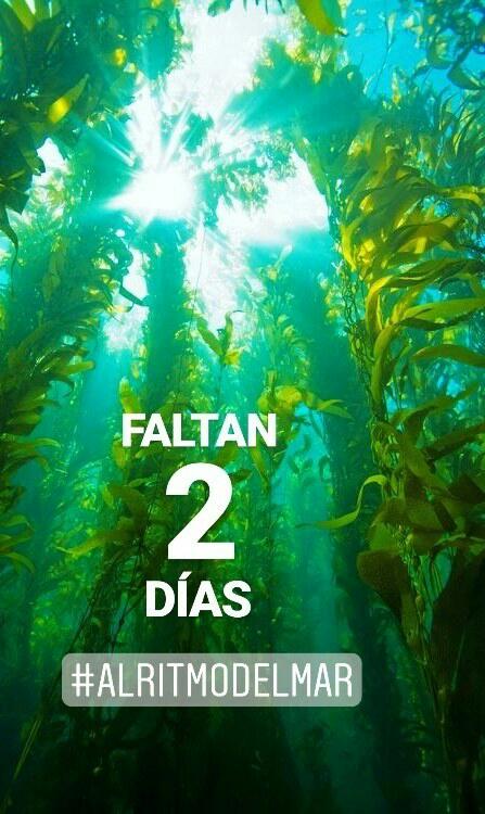 3treintay3's tweet photo. Sólo faltan ✌ días!! 🌊 #alritmodelmar🌴 @rjpaladines https://t.co/GIJtNtj5zW