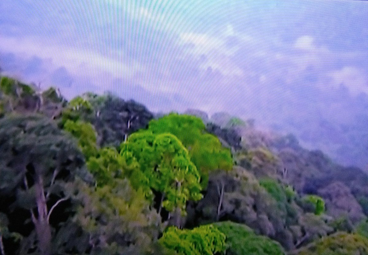 khunifauti's tweet photo. Okay bukan saja nk cakap baik #Tombirou #PinjamkanHatiku #Jibam semuanya punyai lokasi pengambaran yg cantik menunjukkan kehijauan  Malaysia https://t.co/aIif2WkYDO
