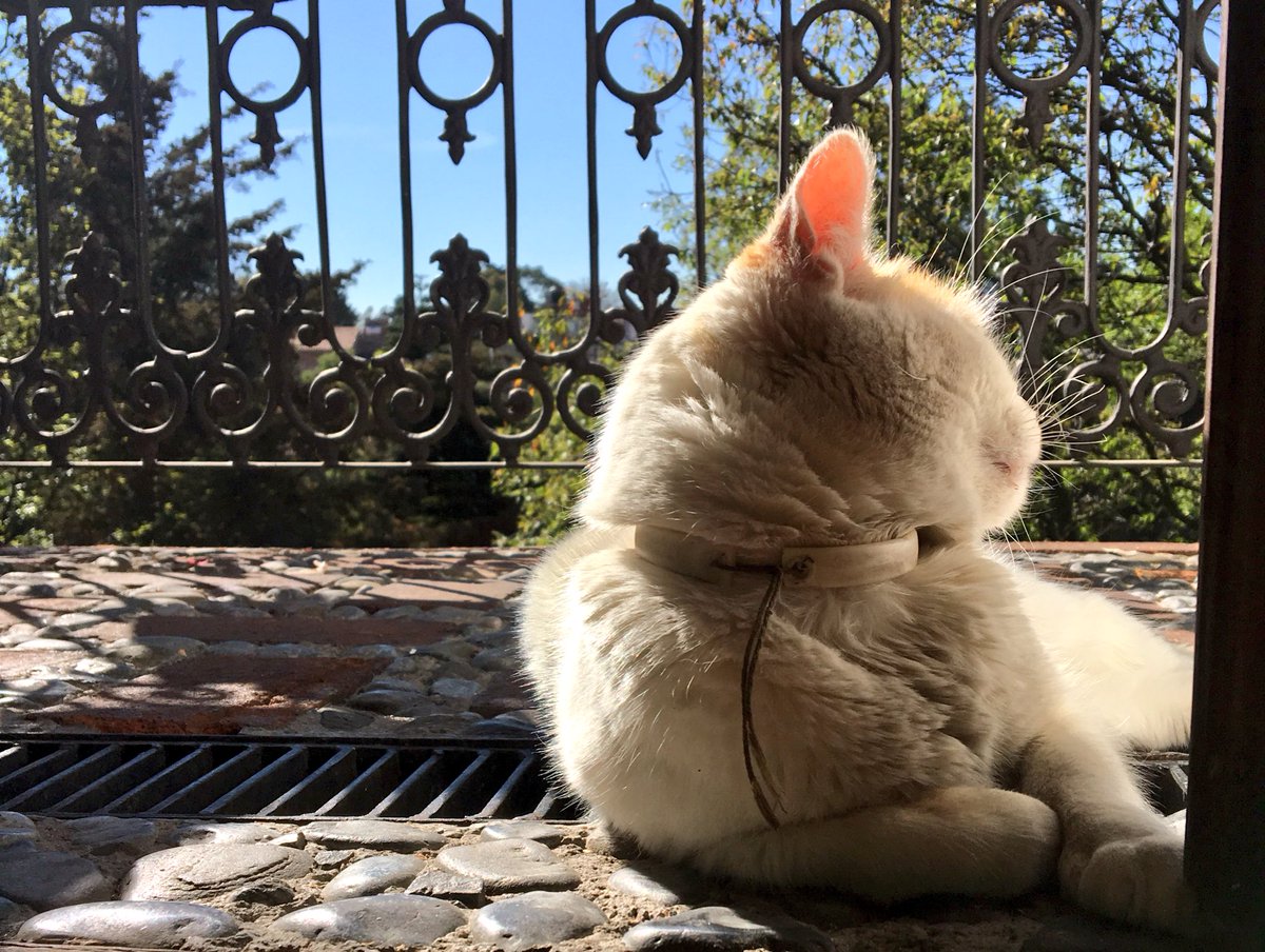 raquelgarzac's tweet photo. Bonito día ! ☀️🍃 https://t.co/DmHQt1G8SL