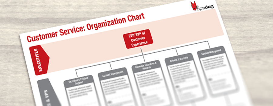 Ey Organizational Chart