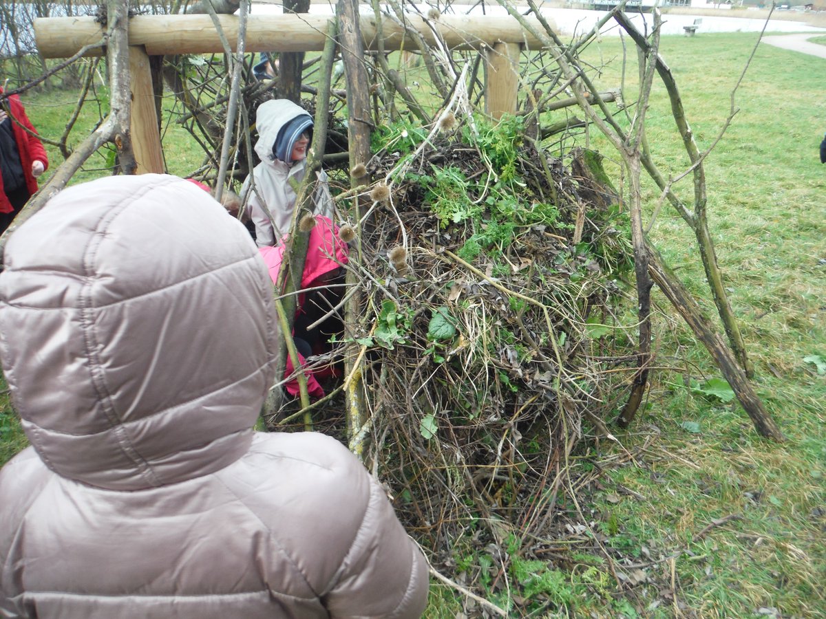 RingsteadSchool's tweet photo. #ShawsLions and #MonkeysClass made some incredible shelters at Stanwick Lakes today! It was such a good day! Thanks Dan for showing us how to make them https://t.co/do12EJTF1k