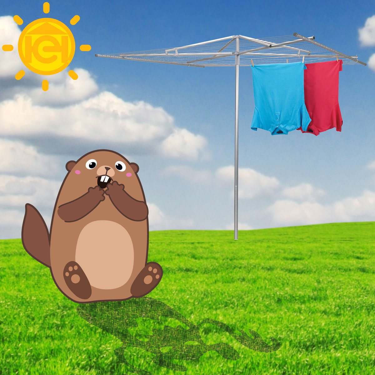 HouseholdEssen1's tweet photo. Happy Groundhog Day! Only six more weeks of winter... Let the countdown to outdoor drying begin! #groundhogday2018 #sixmoreweeksofwinter #outdoordrying #householdessentials https://t.co/qzIRDOSIBj