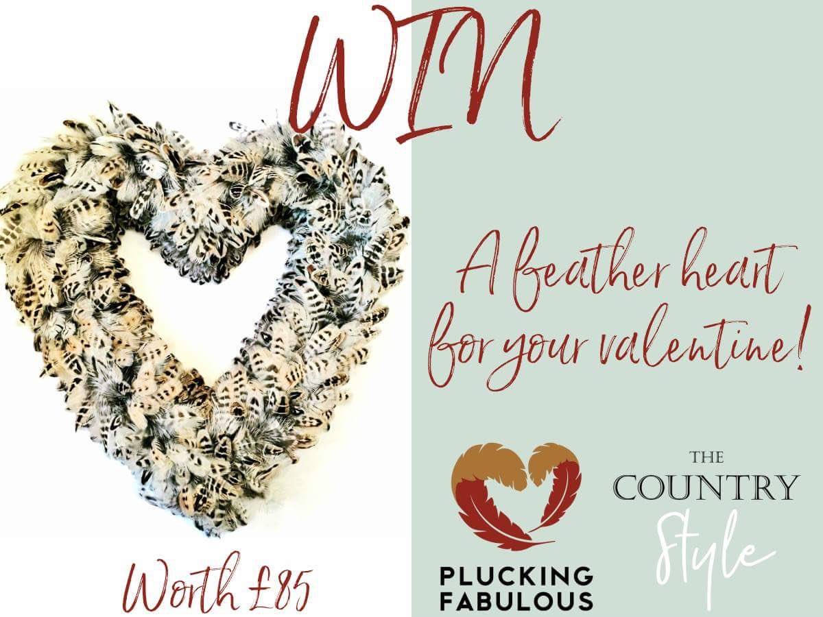 PluckingFab's tweet photo. Head on over to our Facebook page for a chance to win one of our feather hearts 
#valentinesday in collaboration with @countrystyle_uk 
https://t.co/XuGKobBruM https://t.co/90LY00onDq