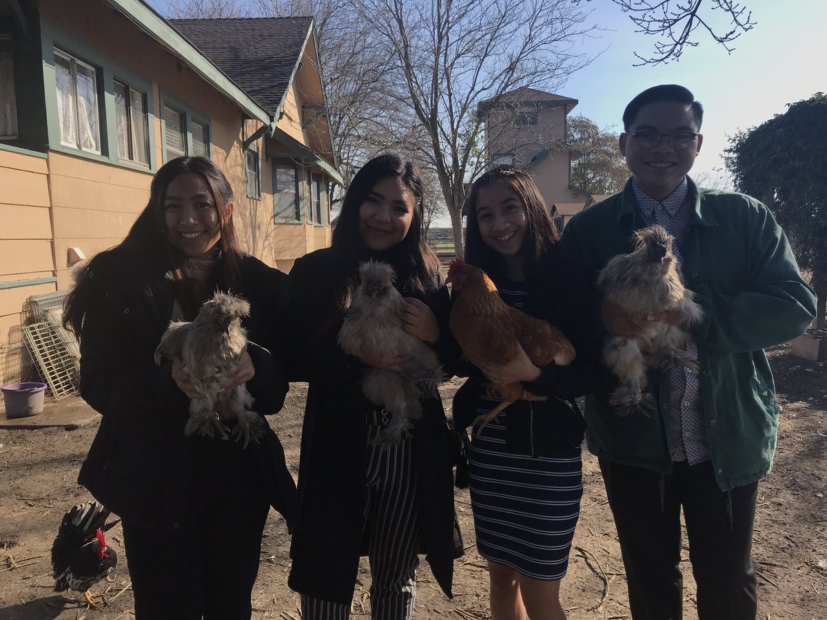 viking_interact's tweet photo. Job Shadowing 2018💙💛💙 https://t.co/d968CiV5PB
