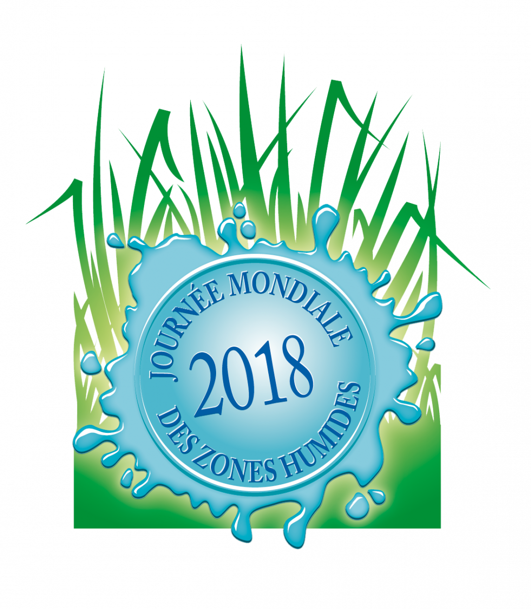 R_EauDouce's tweet photo. Pour la Journée Mondiale des #ZonesHumides les élèves de Liverdun (54) ont rejoint le Réseau Mél'Eau pour faire découvrir la #biodiversité des #MilieuxAquatiques à leurs correspondants guyanais ! 
avec Reflets d'eau douce
Suivez l'aventure sur https://t.co/XiH3hCUkZs
#JMZH2018 https://t.co/TV8T6lbAdq