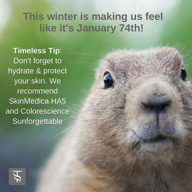 BeTimeless's tweet photo. The groundhog hath spoken! Welcome to six more weeks of winter ❄⛄ #justsayno  #hydrateyourskin #betimeless https://t.co/qyW2Nu8qwW https://t.co/pcouv4I1Zz
