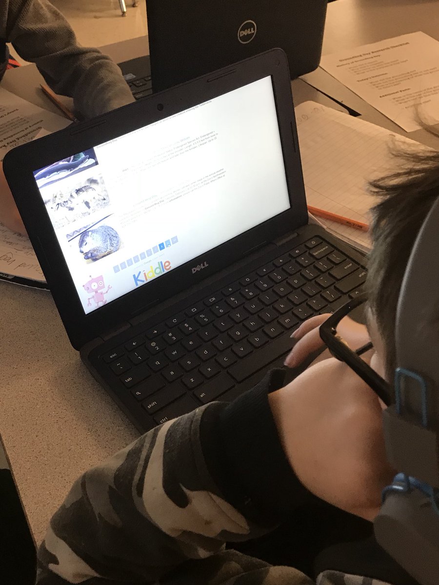 Michelle Nelson tweet media