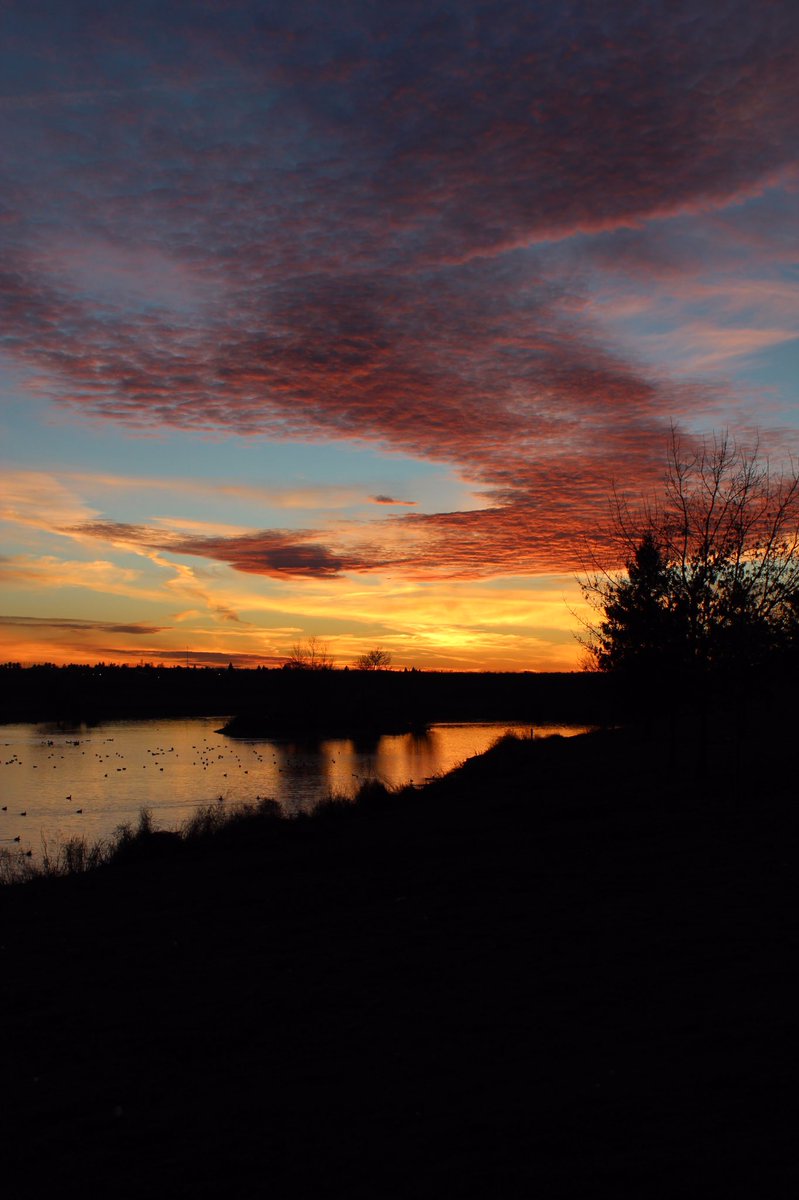 Harsimar Kaur tweet media