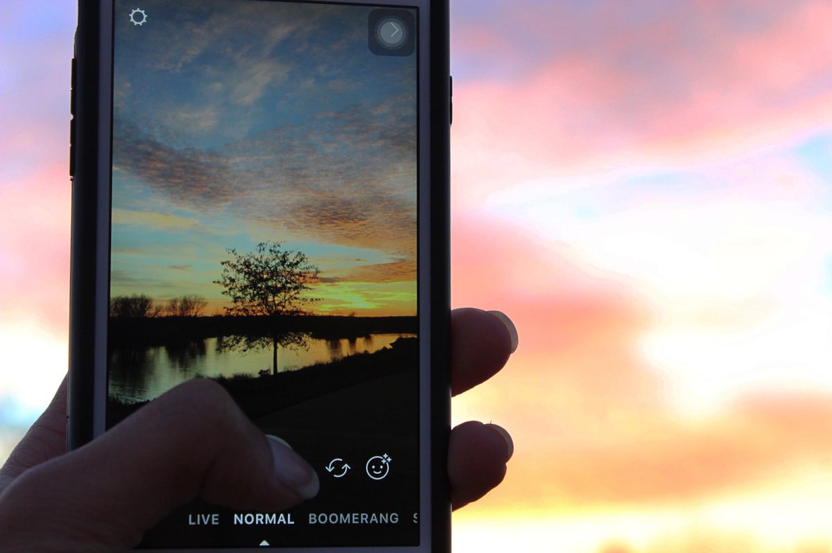 Harsimar Kaur tweet media