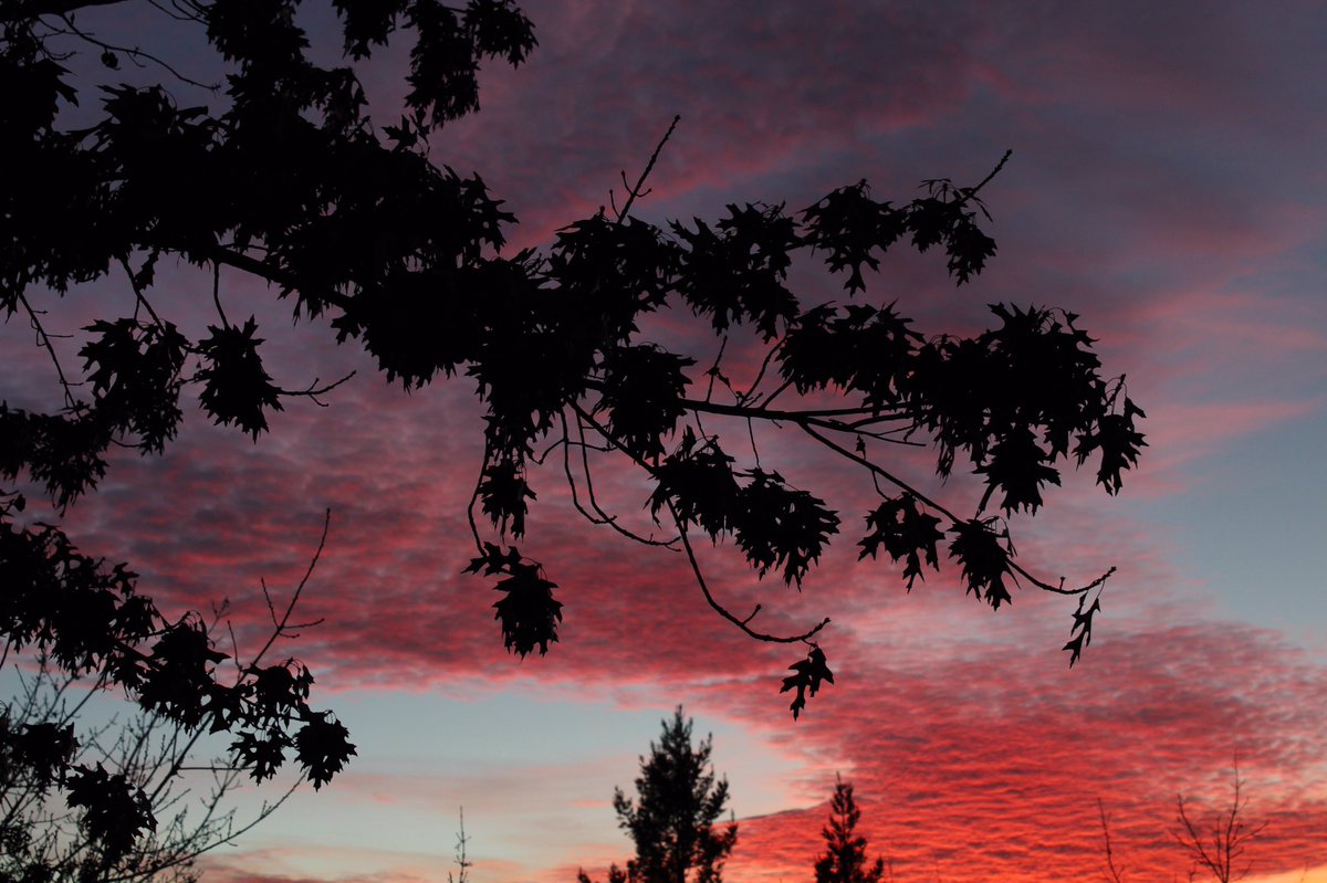 Harsimar Kaur tweet media