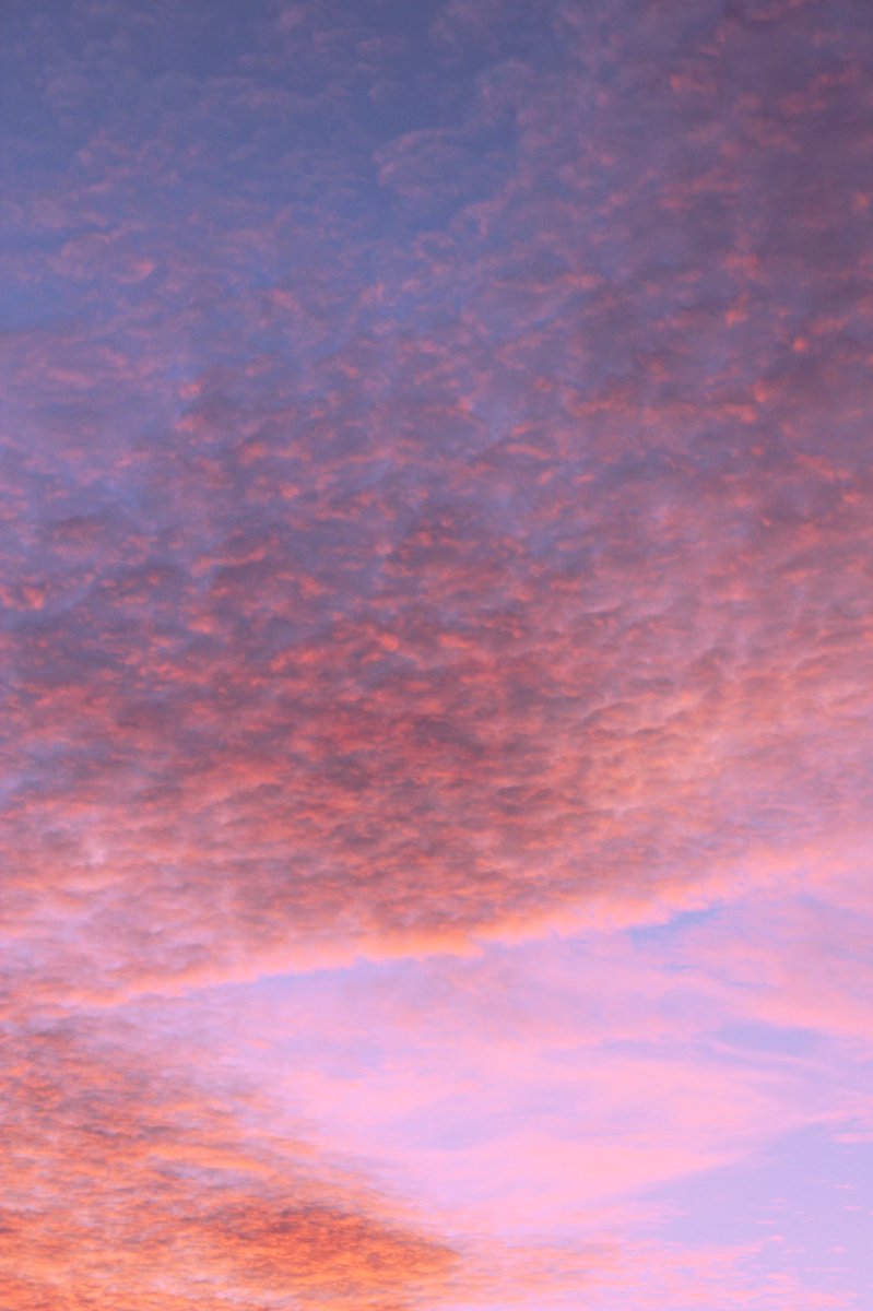 Harsimar Kaur tweet media