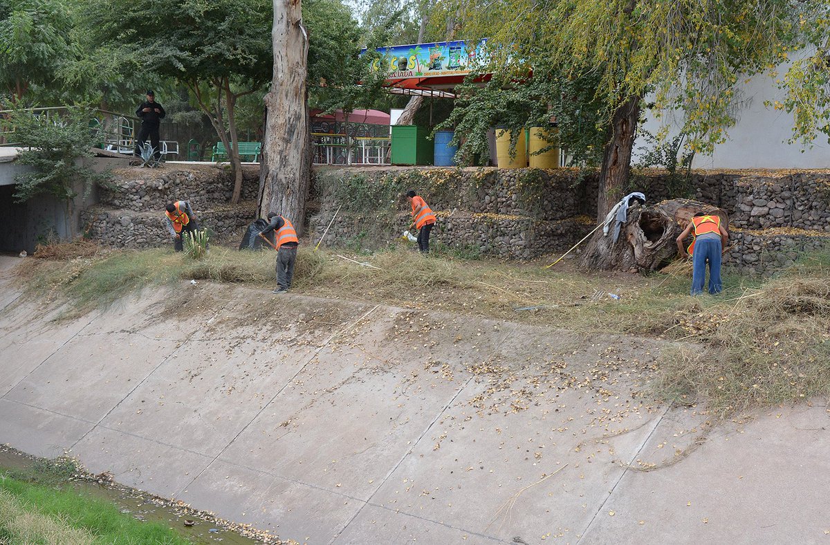 HAytoCajeme's tweet photo. Infractores en #Cajeme pagan multas con trabajo comunitario
https://t.co/hHW2M57yDW
#UnidosHacemosMAS https://t.co/Cmns6rKlqE