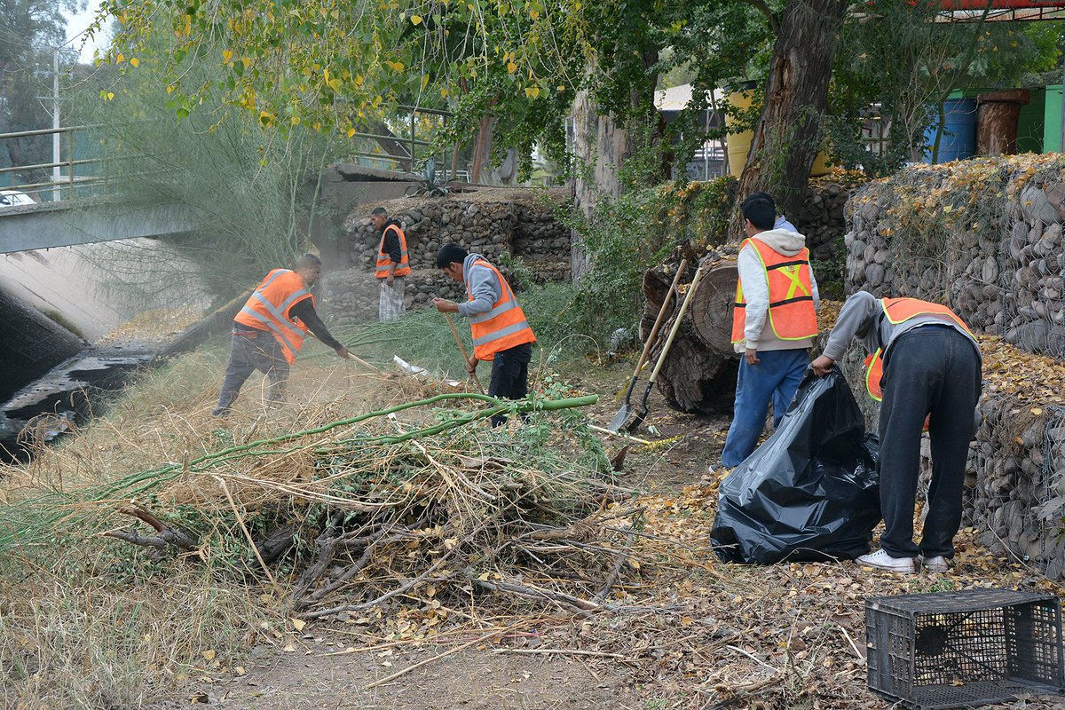 HAytoCajeme's tweet photo. Infractores en #Cajeme pagan multas con trabajo comunitario
https://t.co/hHW2M57yDW
#UnidosHacemosMAS https://t.co/Cmns6rKlqE