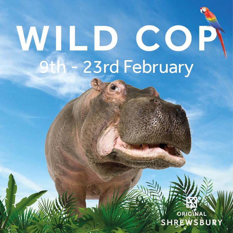 TannersWines's tweet image. Just heard (or should that be 'herd'!) about #wildcop. Very exciting! Keep your eyes peeled Shrewsbury folks - you might spot some unusual sights on #WyleCop in a week's time!