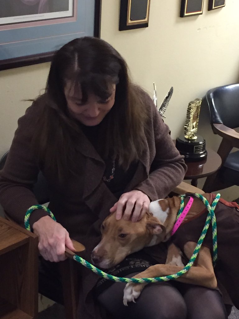 WLOKRadio's tweet photo. Thanks to Katie Pembrook and Leona for today's "Furry Friends Friday" episode. Call @AdoptMas (636-1416) if you would like to adopt a pet. #LivingTheVision https://t.co/8kD6WeCiDN