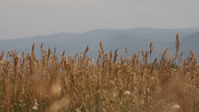 I just finished day 2 of the <a href="/YouVersion/">YouVersion Bible App</a> plan 'Immersion Into Isaiah'. Check it out here:#BibleFor21  bible.com/r/H0