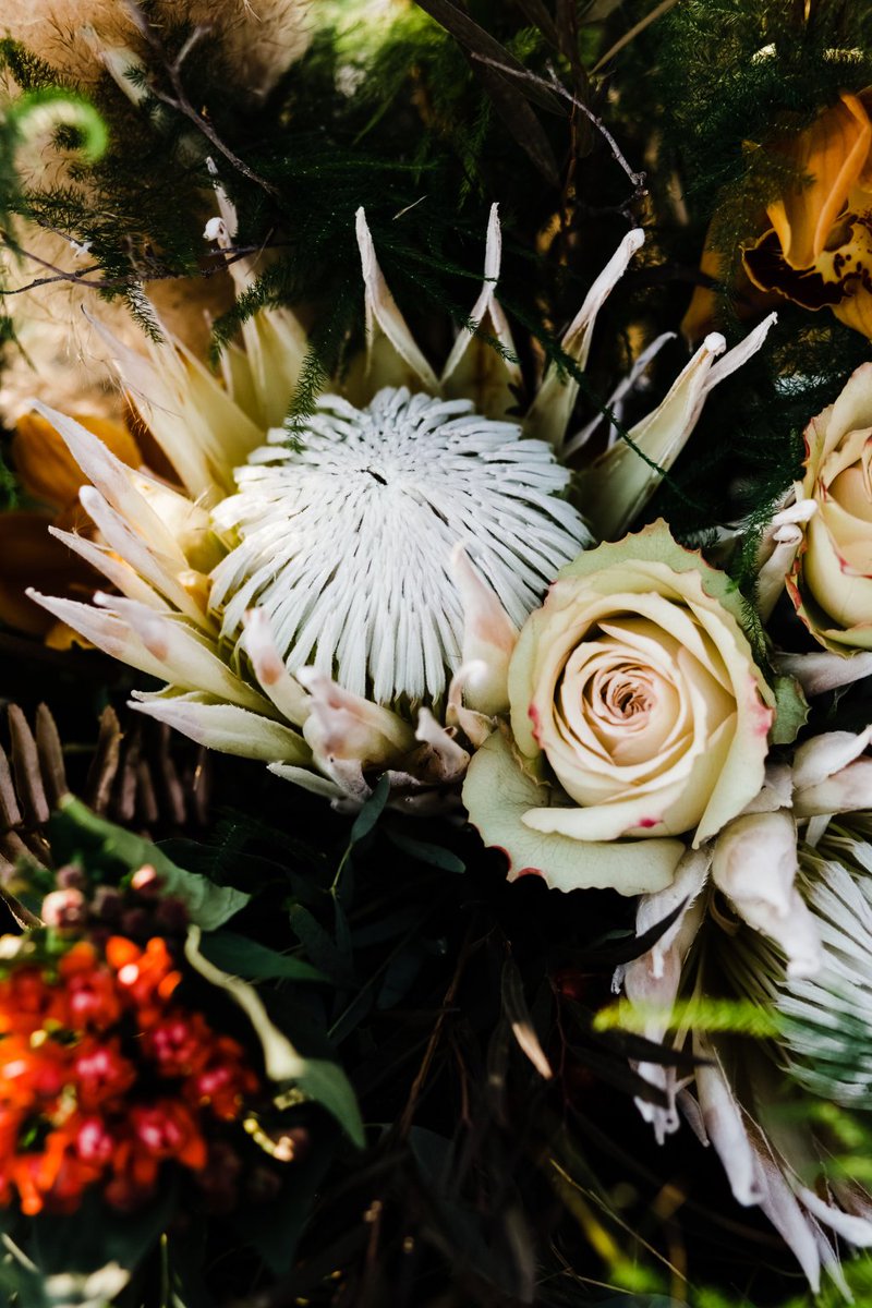 FunkyPetalsLeth's tweet photo. Florists Review Article: Designing the Urban Prairies https://t.co/RONnFnXaQG https://t.co/KTwz2zs1qy