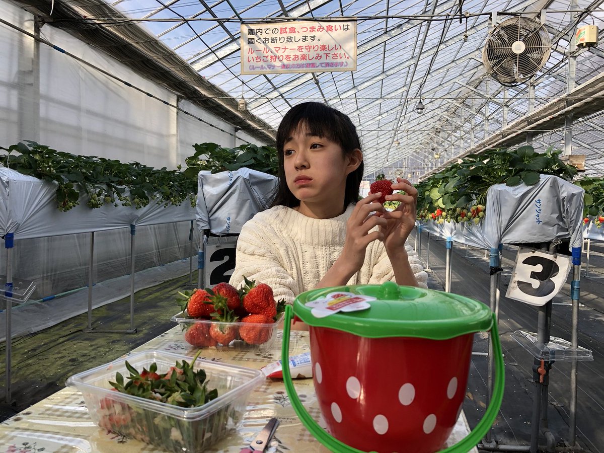 湯沢町観光まちづくり機構 旧湯沢町観光協会 公式 湯沢いちご村では摘み取り体験や 摘み取ったばかりの大ぶりのいちご をその場で堪能することができます 新潟県が誇るいちご 越後姫 是非ともご堪能下さい T Co Ze0opdj4rx いちご 苺