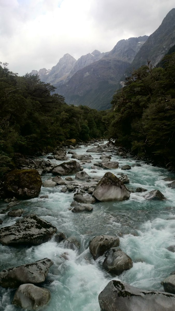 backpackrmiles's tweet image. Pas le temps d'écrire des articles ici trop de choses à faire !!

Milford Sound Road, New Zealand 

#BackpackerMiles
