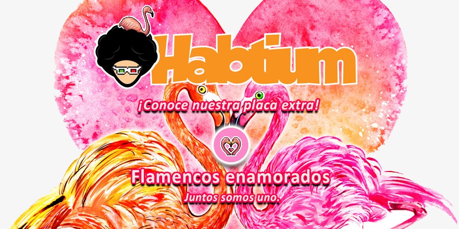 habtium's tweet photo. ♥️😜 ¡El mes del amor ha comenzado y con él las novedades en Habtium! Os presentamos la placa extra de febrero: Flamencos Enamorados. ¡Lo sabemos, lo sabemos! A nosotros también nos parece muy romántica. https://t.co/o0gARtLBvT