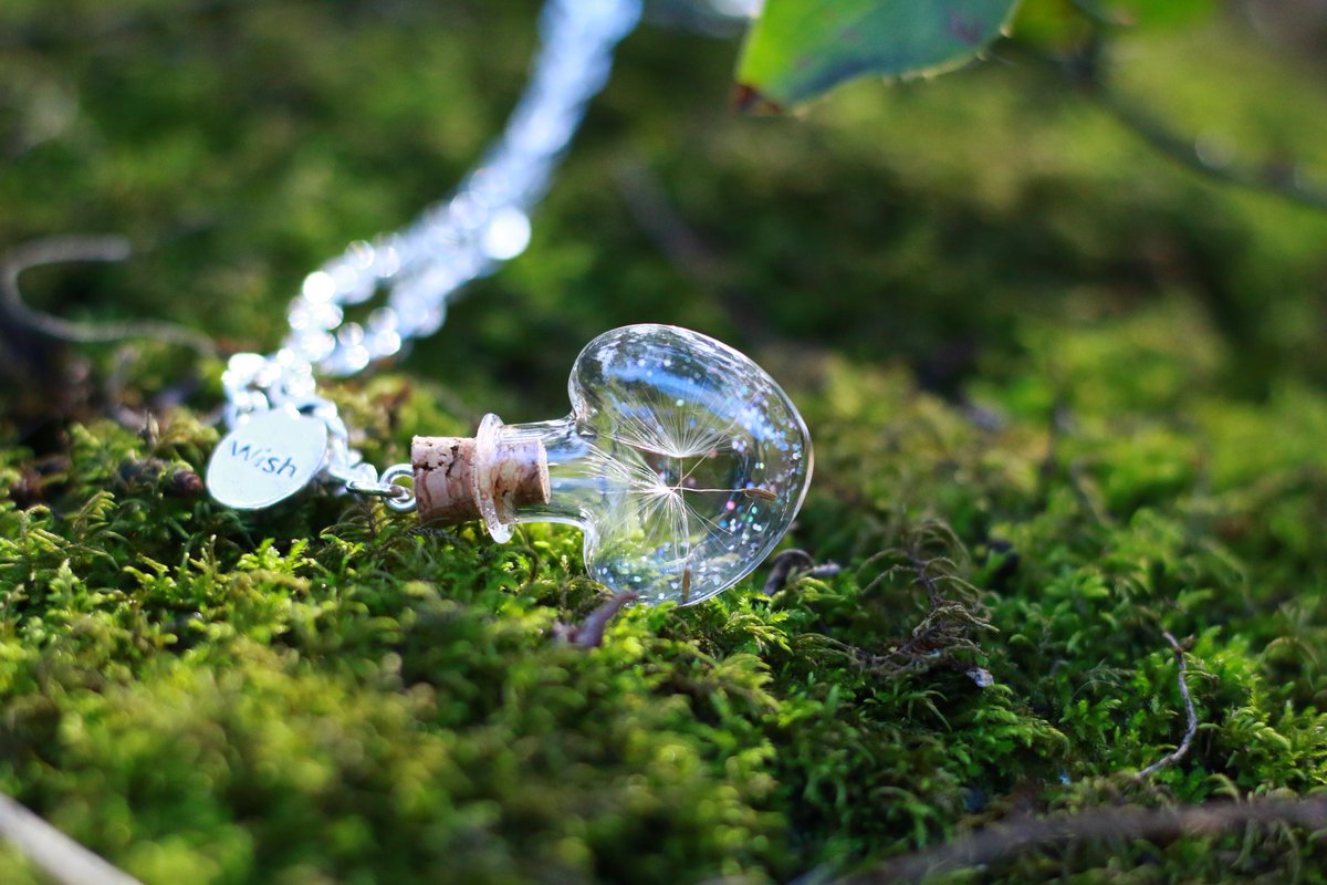 CallyHandmade's tweet photo. Concours de la Saint Valentin sur ma page Facebook :Cally Handmade.
Retrouvez toutes les conditions de participation sur la page ! Bonne chance 🍀#concours #giveaway #saintvalentin #valentinesday #coeur  #amour #love  #jewelry #collier #creatricebijoux #pissenlit #dandelion #wish https://t.co/M26jnXSgjE