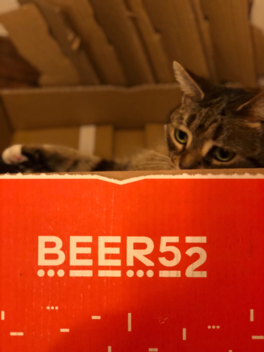 WillVoisey's tweet photo. @Beer52HQ He-man the cat loves this months box nearly as much as Daddy! https://t.co/qJcwnpLpXZ
